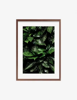 Still Life 7 Photography Print By Ashley Johnson -Home Decor Sale JohnsonStillLifePack7 7walnutframe scaled