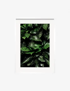 Still Life 7 Photography Print By Ashley Johnson -Home Decor Sale JohnsonStillLifePack7 7whiteframe scaled