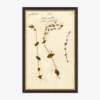 Herbarium A Wall Art
