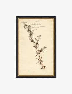 Herbarium F Wall Art