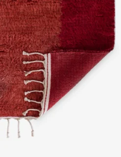 Polo Rug -Home Decor Sale NEO00NEM 3RED 2 Product scaled