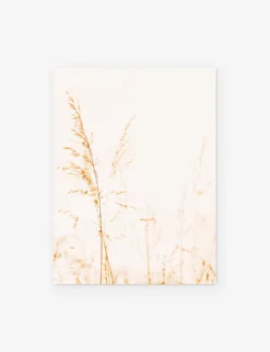 Wild Grass Photography Print By Ingrid Beddoes -Home Decor Sale WildGrass