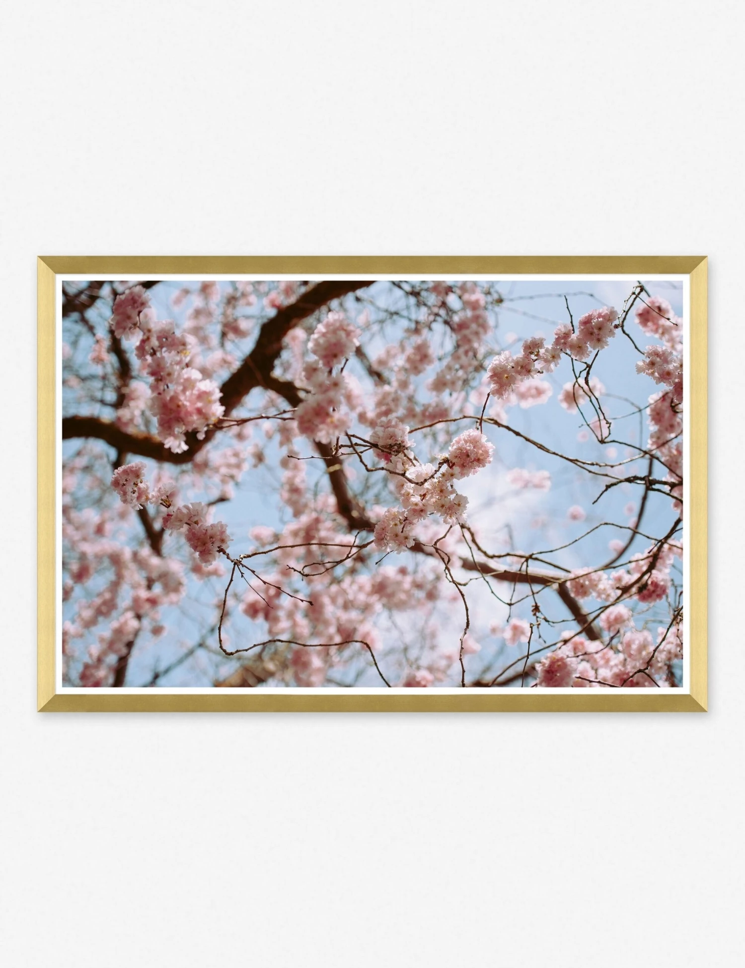 Spring Tones Photography Print 1 Spring Tones Photography Print